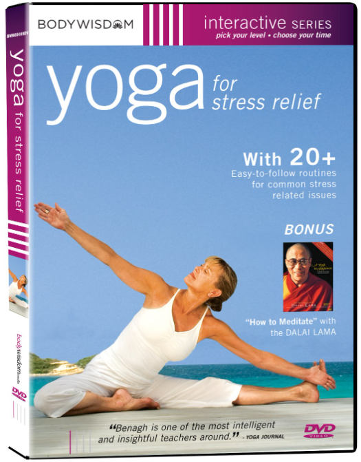 10 Best Yoga DVDs for Easy Home Practice in 2023 - Stick With It Yoga